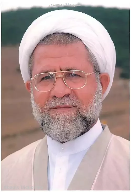 حسن ملک محمدی